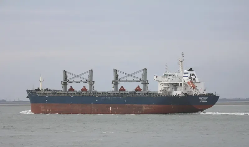 ESHIPS PROGRESS Bulk Carrier IMO 9503275