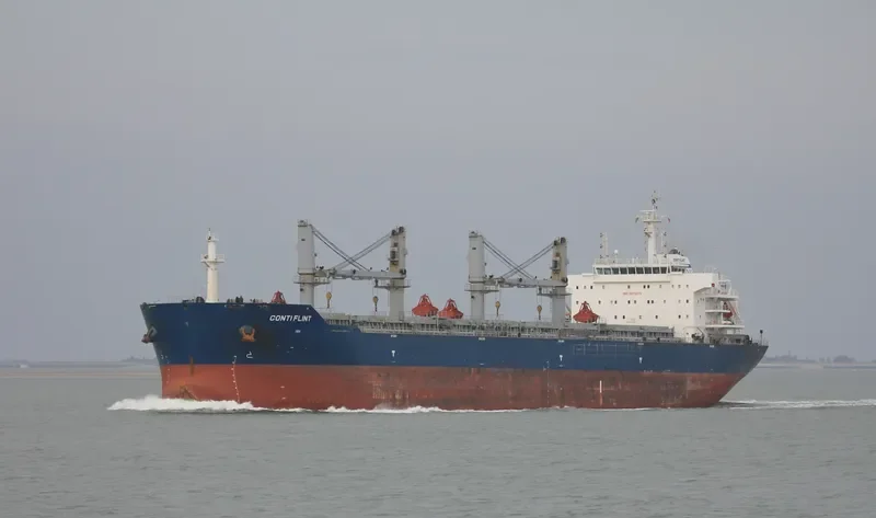 ESHIPS PROGRESS Bulk Carrier IMO 9503275 photo 2