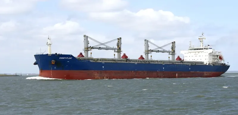 ESHIPS PROGRESS Bulk Carrier IMO 9503275 photo 3