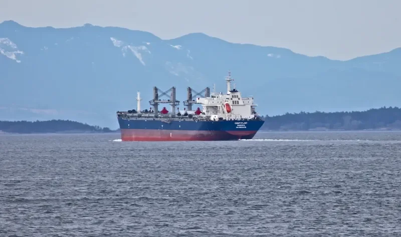 ESHIPS PROGRESS Bulk Carrier IMO 9503275 photo 4