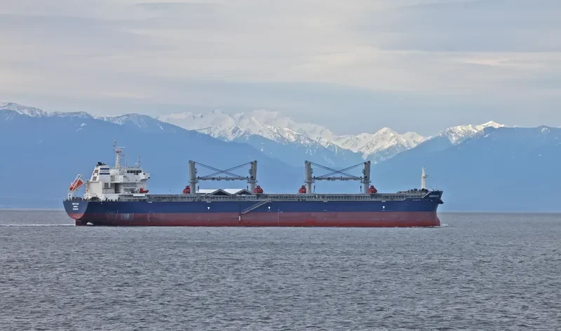 ESHIPS PROGRESS Bulk Carrier IMO 9503275 photo 5