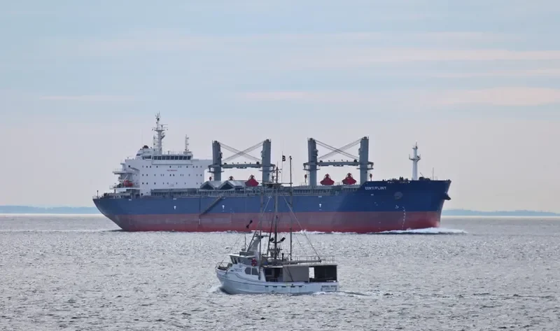 ESHIPS PROGRESS Bulk Carrier IMO 9503275 photo 6
