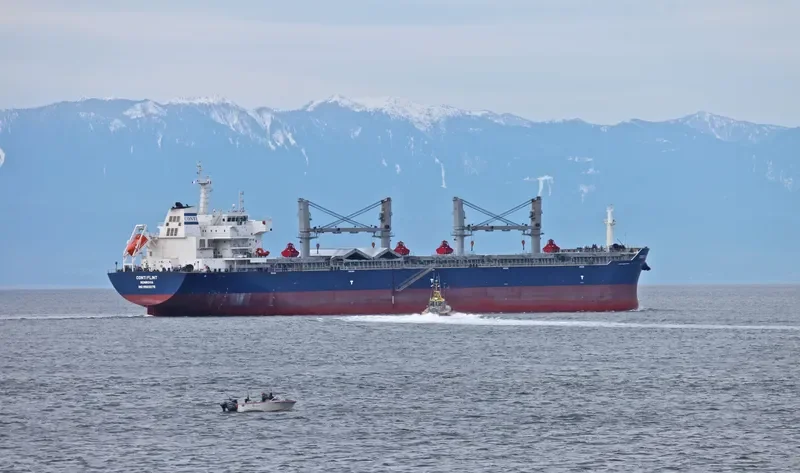 ESHIPS PROGRESS Bulk Carrier IMO 9503275 photo 8