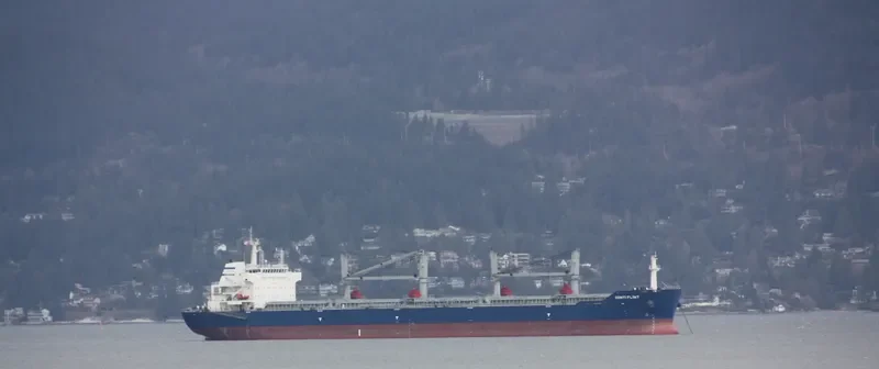 ESHIPS PROGRESS Bulk Carrier IMO 9503275 photo 10