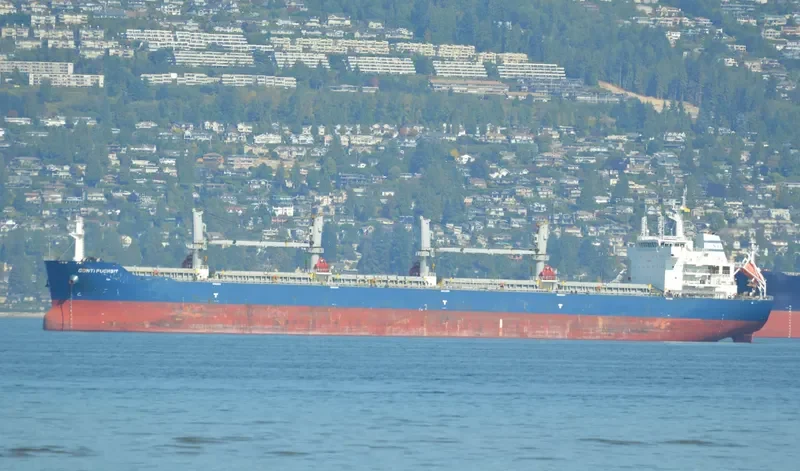 TRISTAR PROSPERITY Bulk Carrier IMO 9503287