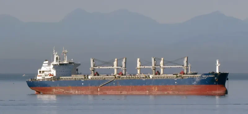 TRISTAR PROSPERITY Bulk Carrier IMO 9503287 photo 2