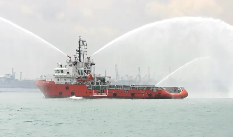 PACIFIC PARROT General Cargo IMO 9503378 photo 2