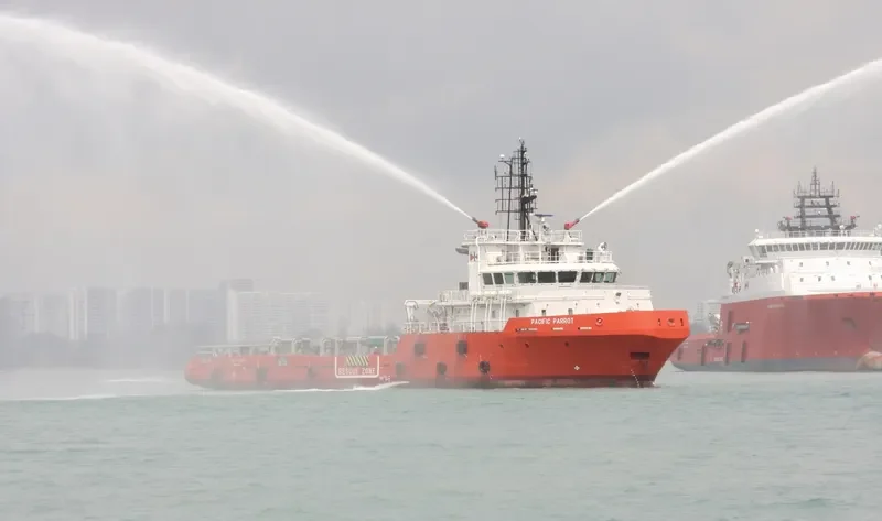 PACIFIC PARROT General Cargo IMO 9503378 photo 3