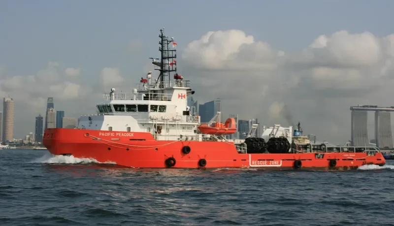 PACIFIC PEACOCK General Cargo IMO 9503380