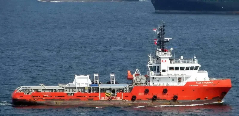 PACIFIC PEACOCK General Cargo IMO 9503380 photo 4