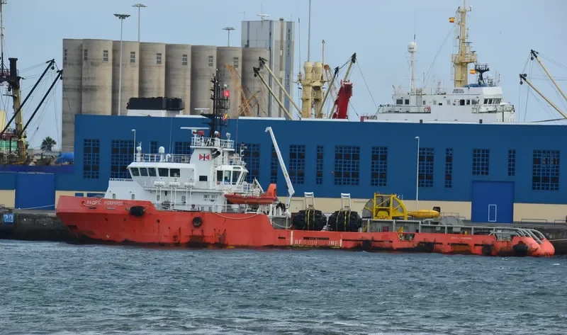 PACIFIC PORPOISE General Cargo IMO 9503421