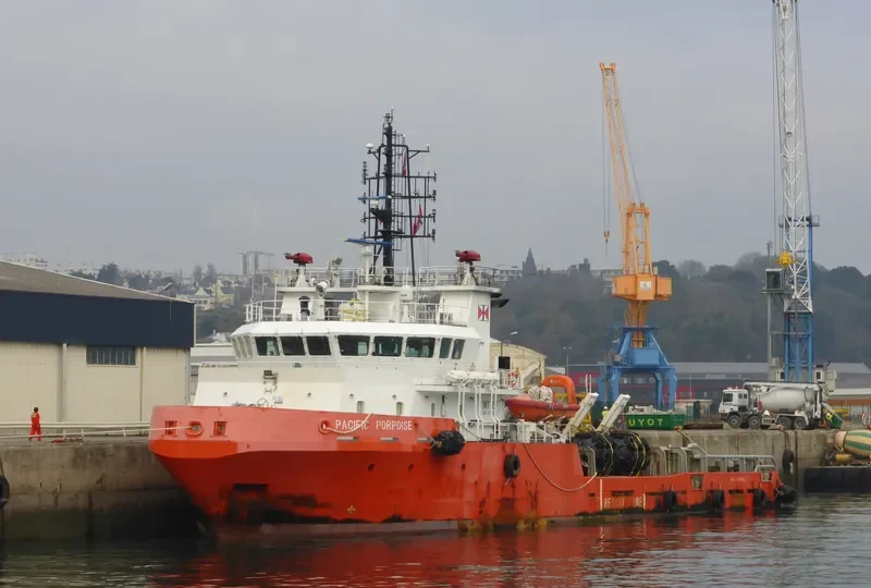 PACIFIC PORPOISE General Cargo IMO 9503421 photo 5