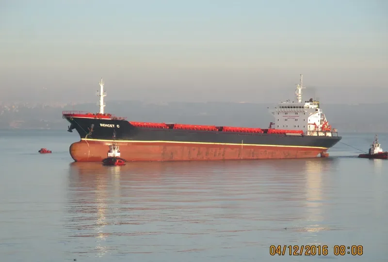 BEHCET C Bulk Carrier IMO 9503744
