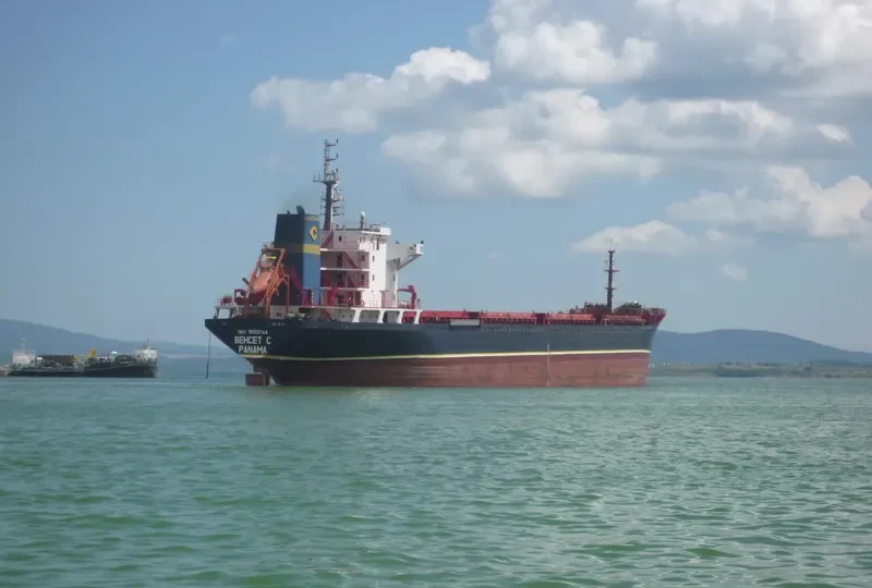 BEHCET C Bulk Carrier IMO 9503744 photo 6
