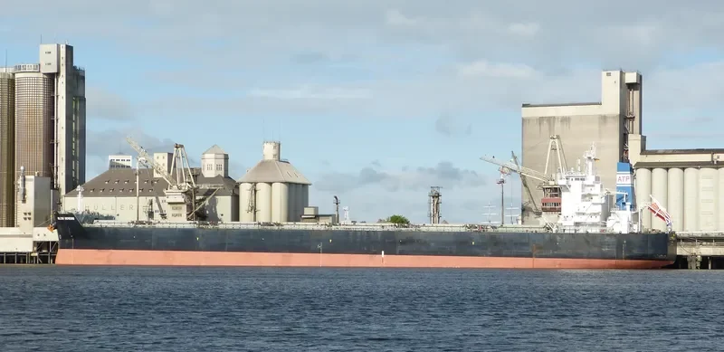 IOLCOS GENESIS Bulk Carrier IMO 9503782 photo 2