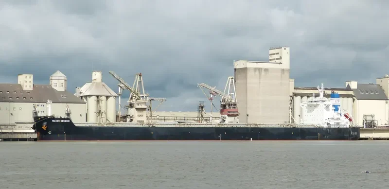 IOLCOS GENESIS Bulk Carrier IMO 9503782 photo 4