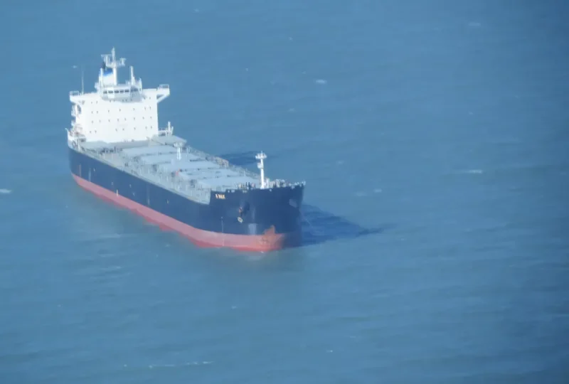IOLCOS GENESIS Bulk Carrier IMO 9503782 photo 8