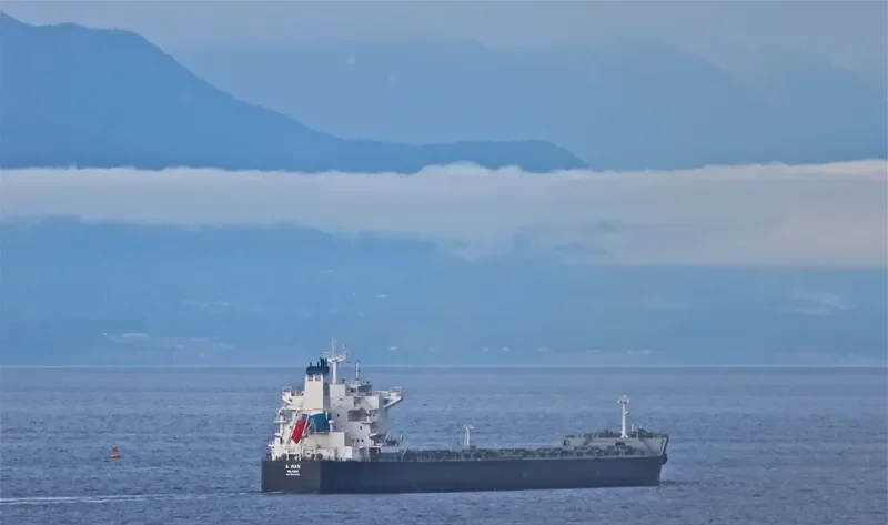 IOLCOS GENESIS Bulk Carrier IMO 9503782 photo 10