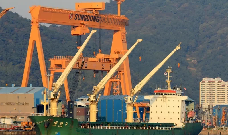 GUO SHUN 9 Bulk Carrier IMO 9503809