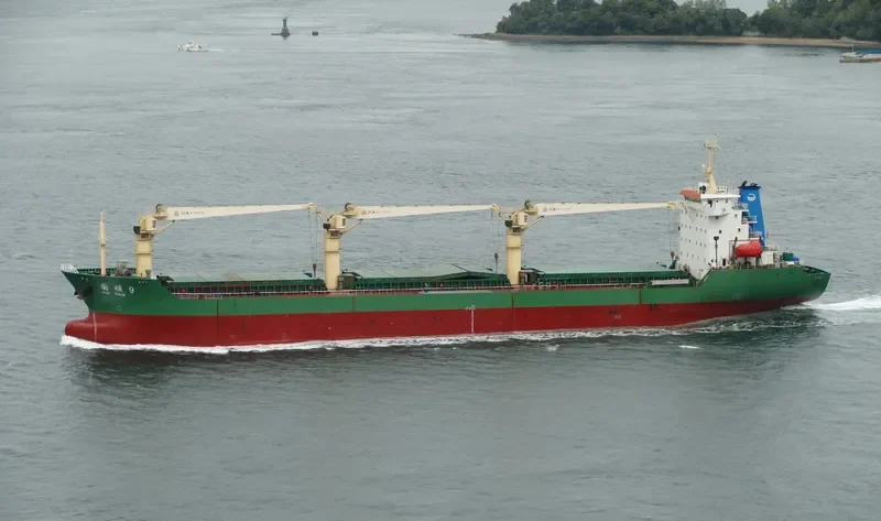 GUO SHUN 9 Bulk Carrier IMO 9503809 photo 4