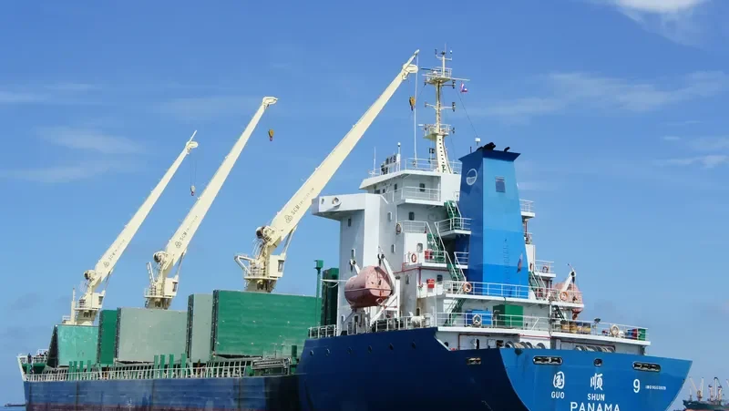 GUO SHUN 9 Bulk Carrier IMO 9503809 photo 6