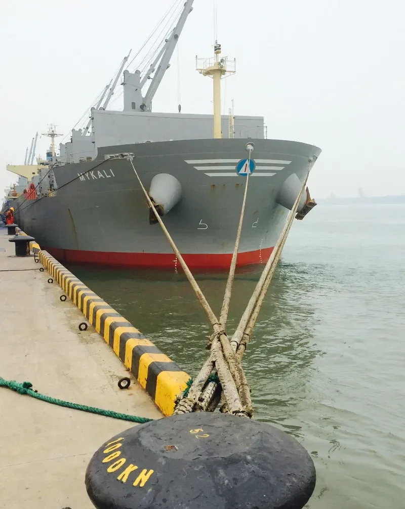 QIHONG Bulk Carrier IMO 9503811