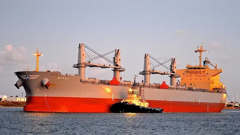 QIHONG Bulk Carrier IMO 9503811 photo 6