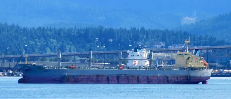 QIHONG Bulk Carrier IMO 9503811 photo 8