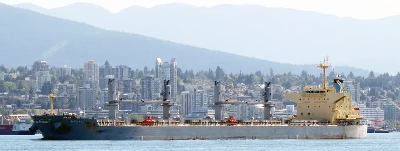 QIHONG Bulk Carrier IMO 9503811 photo 10