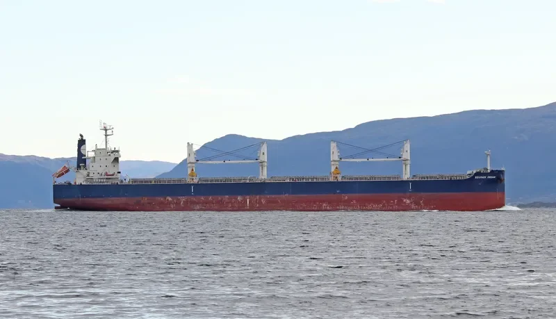 EQUINOX DREAM Bulk Carrier IMO 9503964 photo 2
