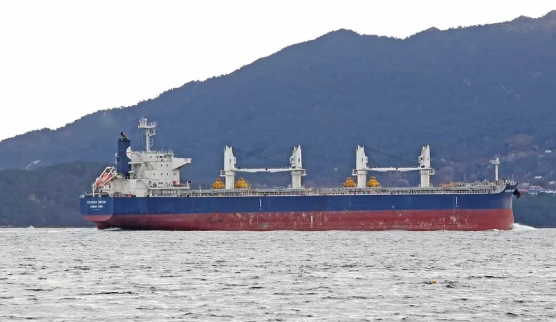 EQUINOX DREAM Bulk Carrier IMO 9503964 photo 3