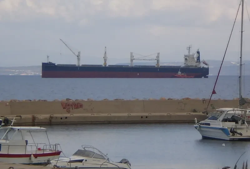 EQUINOX DREAM Bulk Carrier IMO 9503964 photo 7