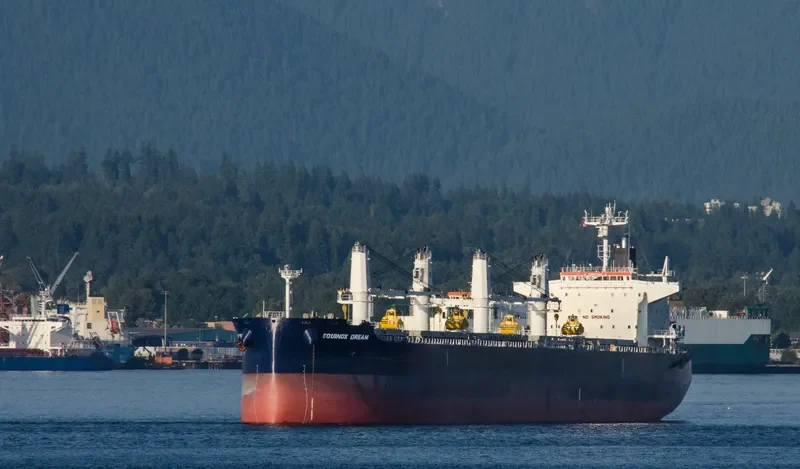 EQUINOX DREAM Bulk Carrier IMO 9503964 photo 8