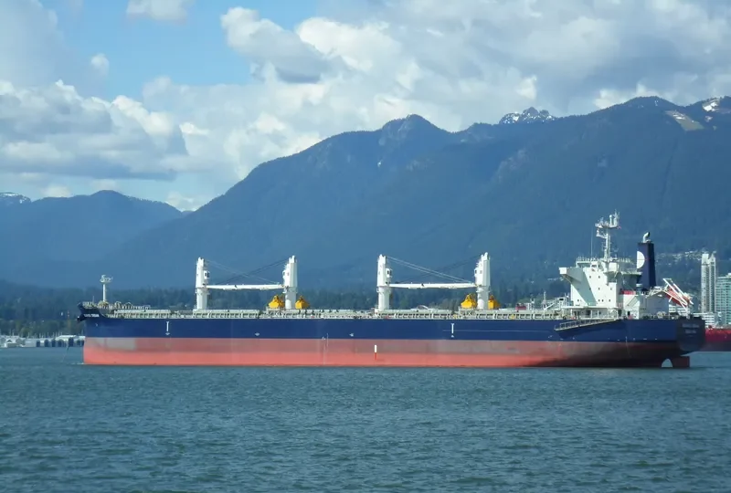 EQUINOX DREAM Bulk Carrier IMO 9503964 photo 9