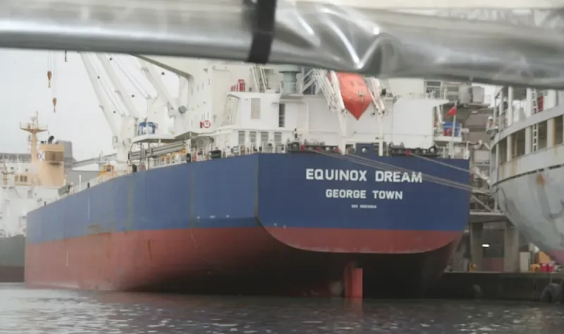 EQUINOX DREAM Bulk Carrier IMO 9503964 photo 10