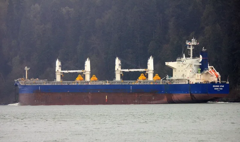 EQUINOX STAR Bulk Carrier IMO 9503976