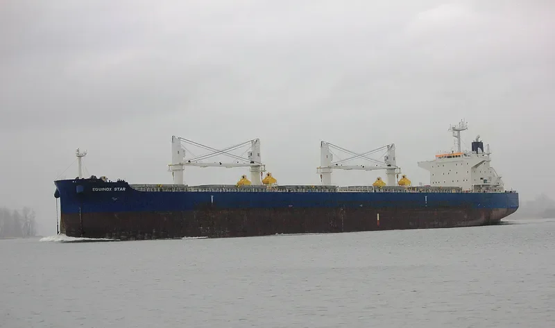 EQUINOX STAR Bulk Carrier IMO 9503976 photo 2