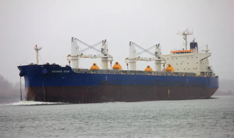 EQUINOX STAR Bulk Carrier IMO 9503976 photo 3