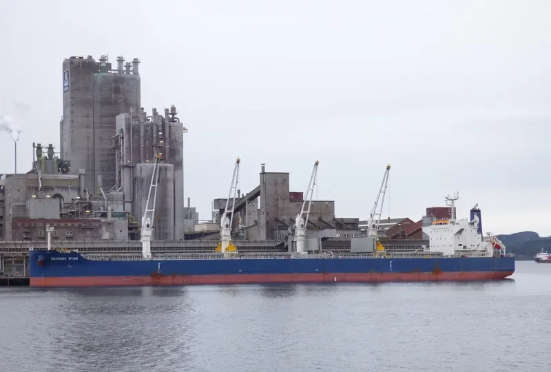 EQUINOX STAR Bulk Carrier IMO 9503976 photo 8