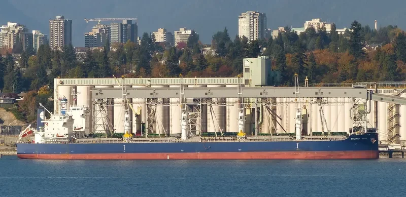 EQUINOX STAR Bulk Carrier IMO 9503976 photo 9