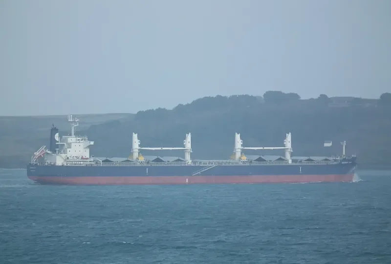 EQUINOX STAR Bulk Carrier IMO 9503976 photo 10