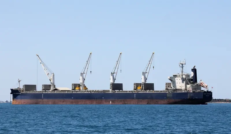 EQUINOX AGNANDOUSSA Bulk Carrier IMO 9503988 photo 2