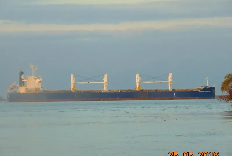 EQUINOX AGNANDOUSSA Bulk Carrier IMO 9503988 photo 3