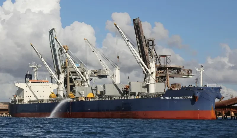 EQUINOX AGNANDOUSSA Bulk Carrier IMO 9503988 photo 5
