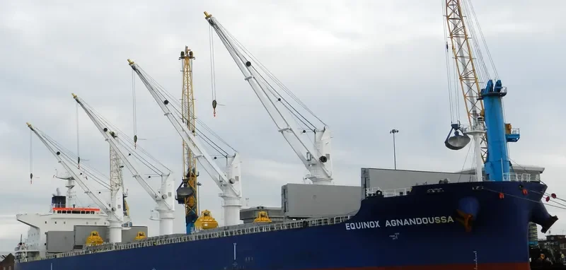 EQUINOX AGNANDOUSSA Bulk Carrier IMO 9503988 photo 6