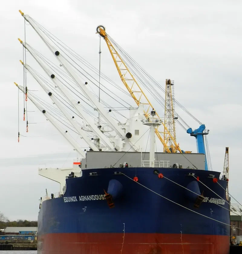 EQUINOX AGNANDOUSSA Bulk Carrier IMO 9503988 photo 7