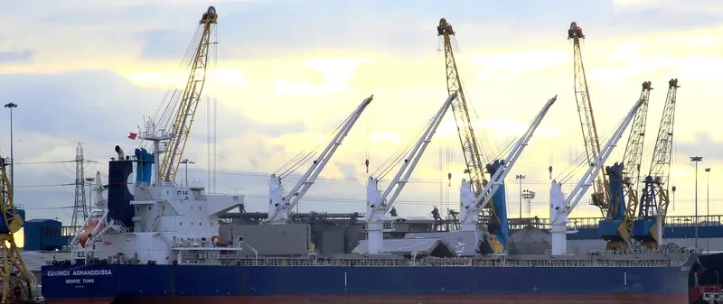 EQUINOX AGNANDOUSSA Bulk Carrier IMO 9503988 photo 9