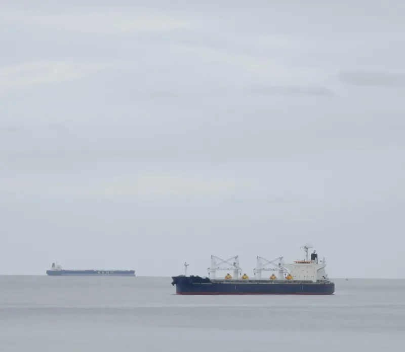 EQUINOX AGNANDOUSSA Bulk Carrier IMO 9503988 photo 10