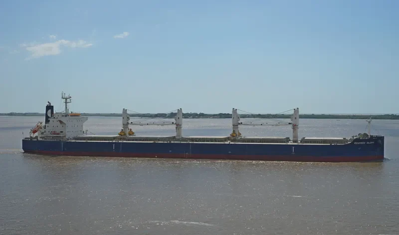 STAR GLORY Bulk Carrier IMO 9503990 photo 5