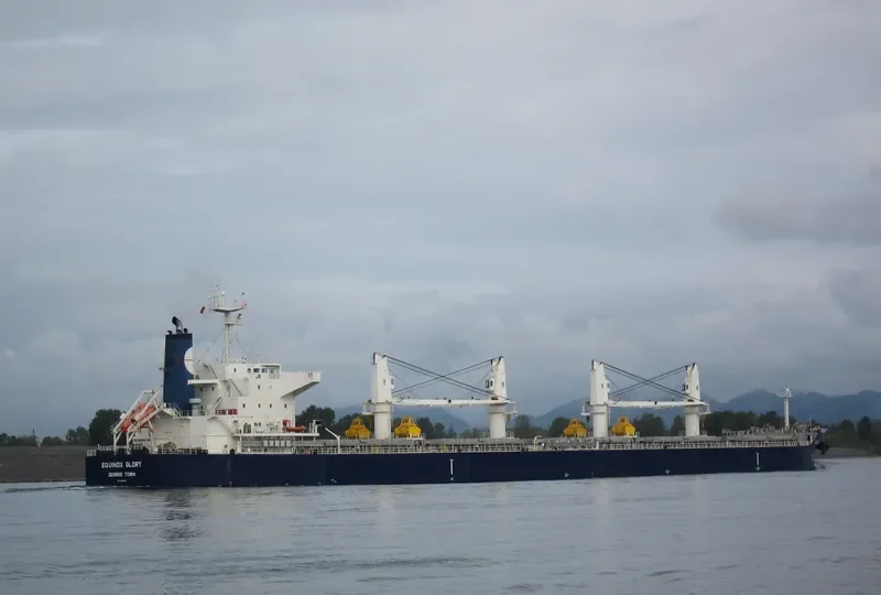 STAR GLORY Bulk Carrier IMO 9503990 photo 6